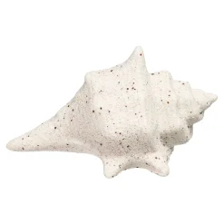 Depot Geschenkideen^Deko-Objekt Muschel
