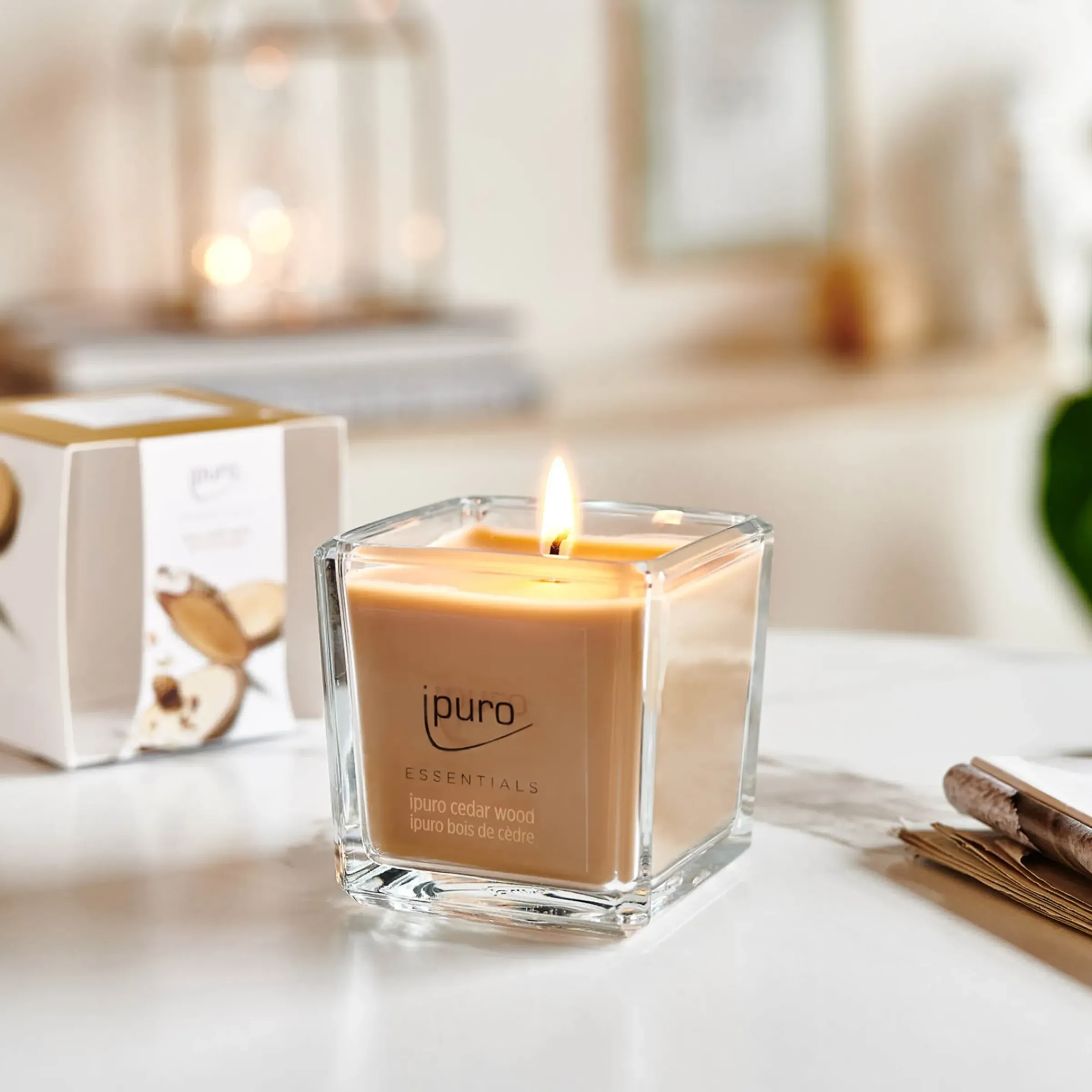 Depot Essentials Duftkerze Cedar Wood> Kerzen