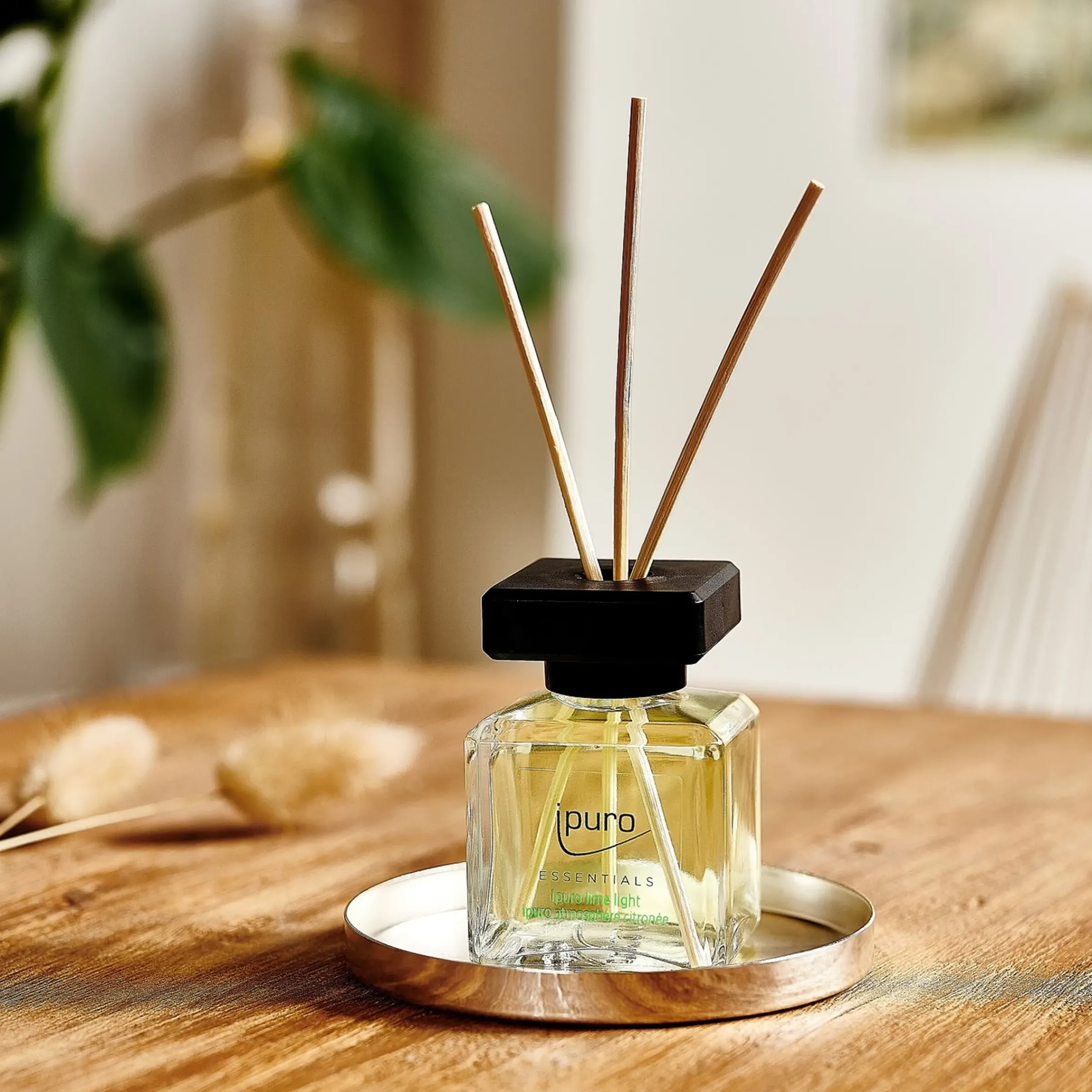 Depot Essentials Raumduft Lime Light> Badezimmer
