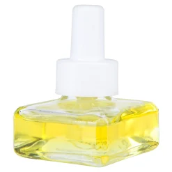 Depot Geschenkideen^Essentials Scent Plug Refill Cedar Wood