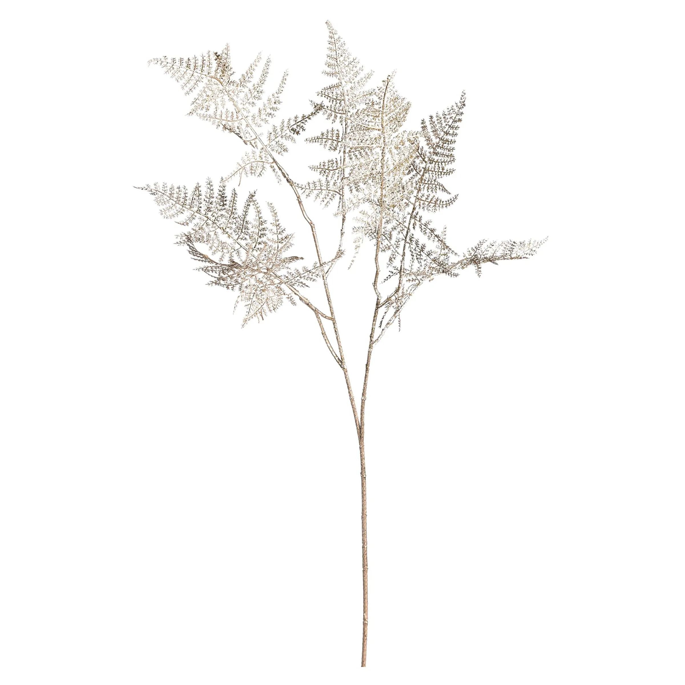 Depot Adventskranz-Deko^Farnzweig 88Cm, Grun