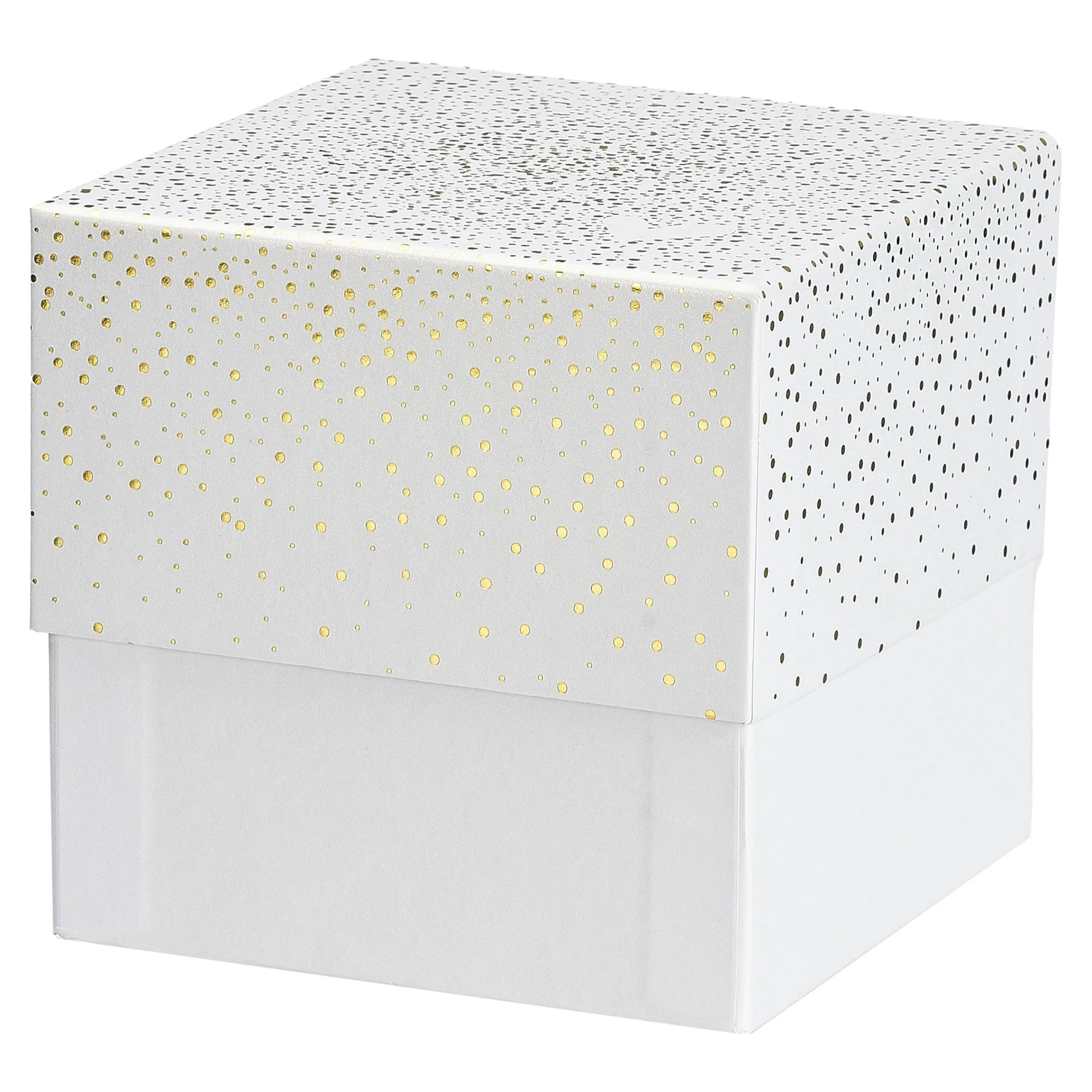 Depot Tuten & Boxen^Geschenkbox Stardust