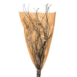 Depot Geschenkideen^Glitzer-Naturzweig