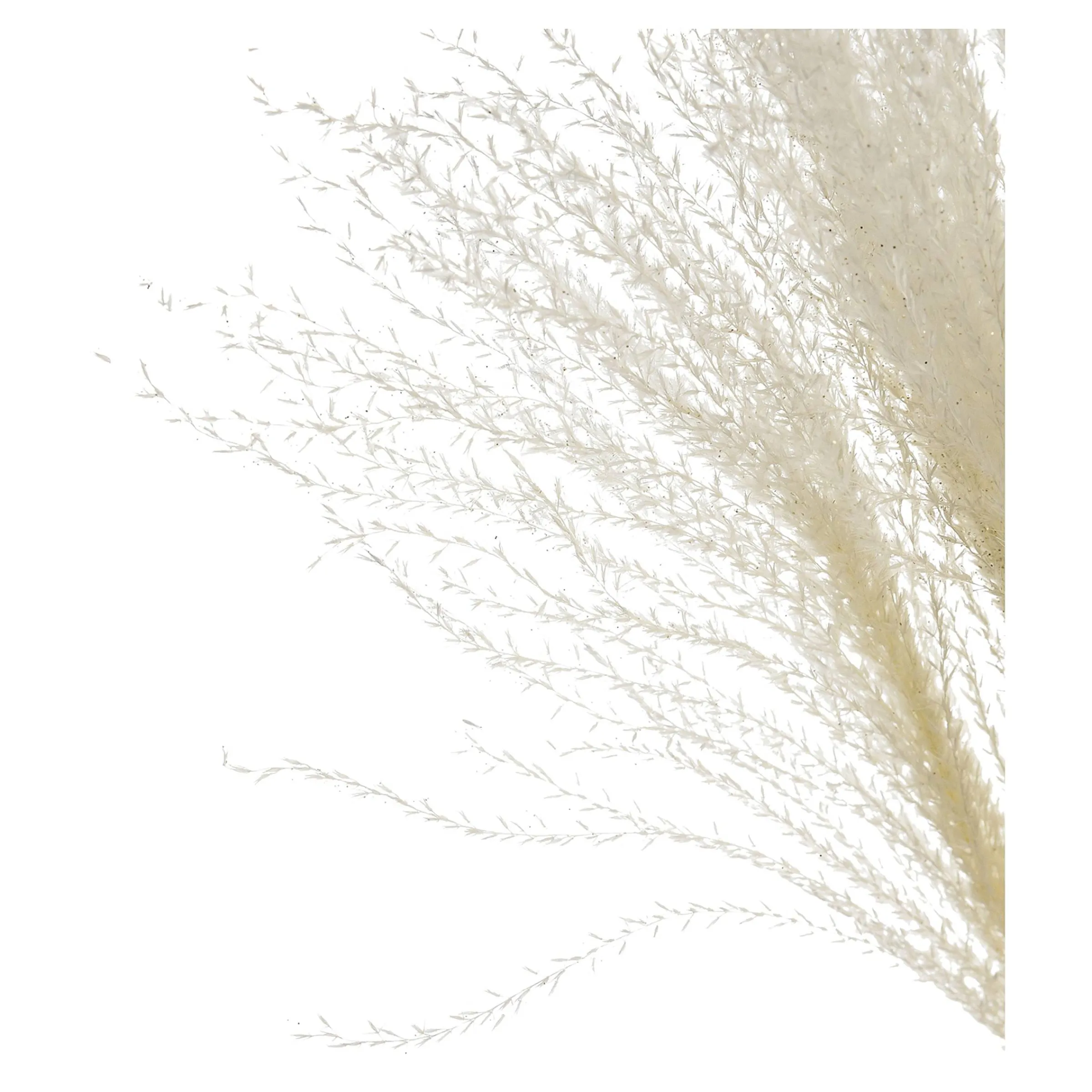 Depot Geschenkideen^Glitzer-Trockenblumen-Bundel Miscanthus