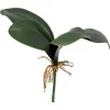 Depot Kunstblatt Orchidee> Einzelblumen & Zweige