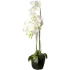 Depot Kunstblume Orchidee Phalaenopsis In Erde> Kunstpflanzen