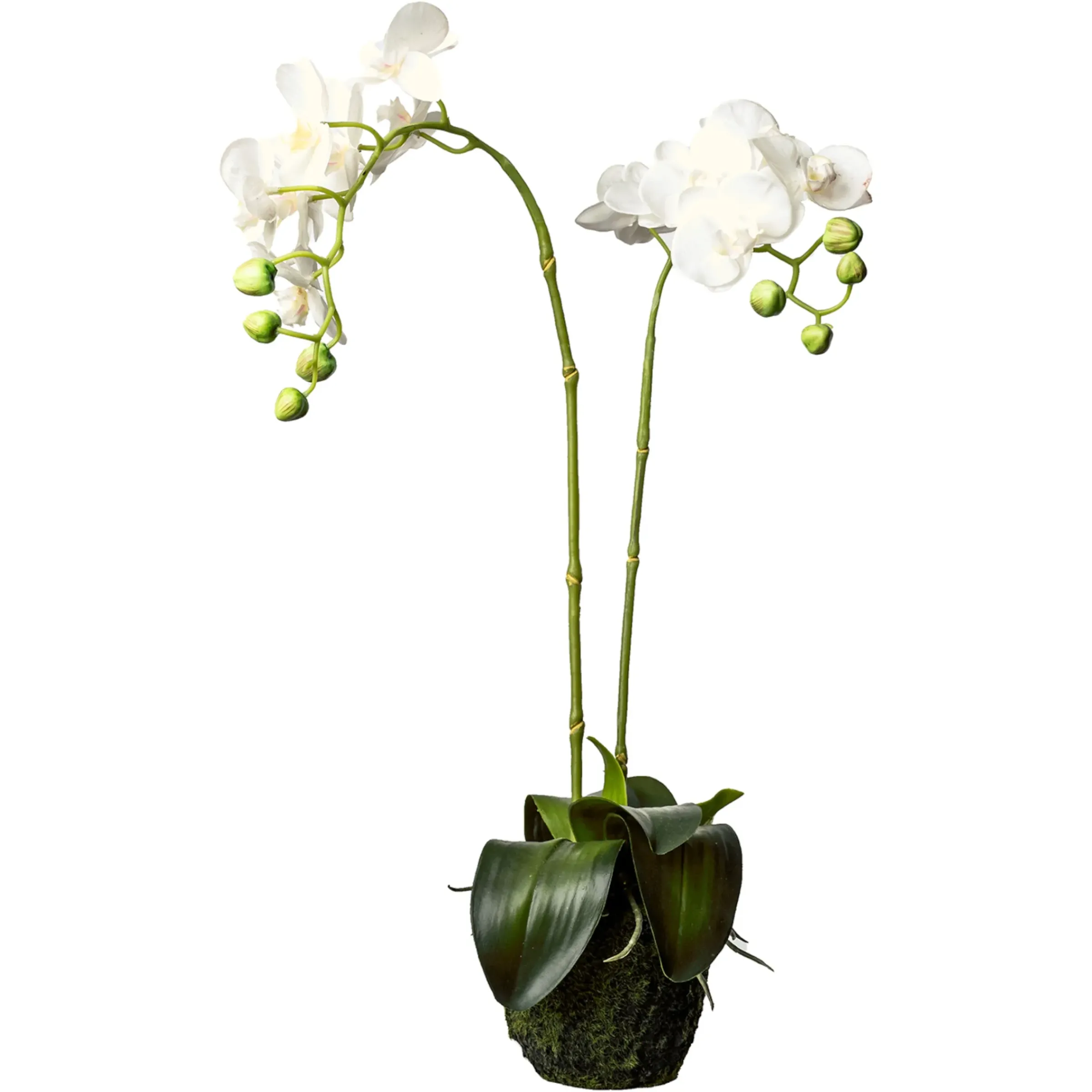 Depot Kunstblume Orchidee Phalaenopsis In Erde> Kunstpflanzen