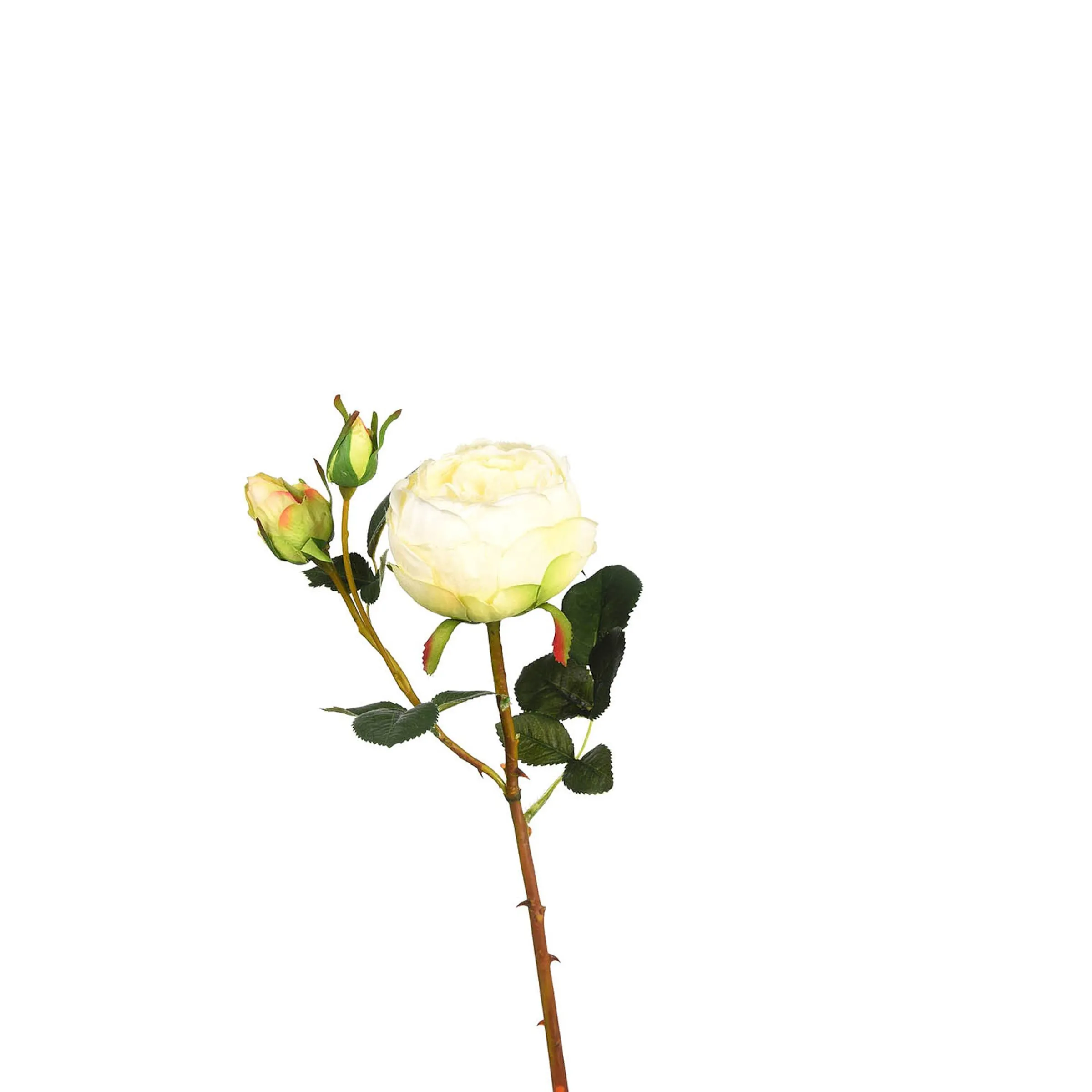 Depot Geschenkideen^Kunstblume Rose