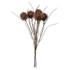 Depot Blumen^Kunstblumenbund Thorn