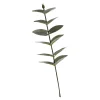 Depot Adventskranz-Deko^Kunst-Blumenpick Eukalyptus