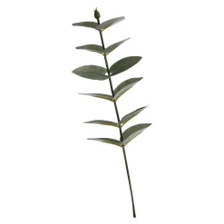 Depot Adventskranz-Deko^Kunst-Blumenpick Eukalyptus