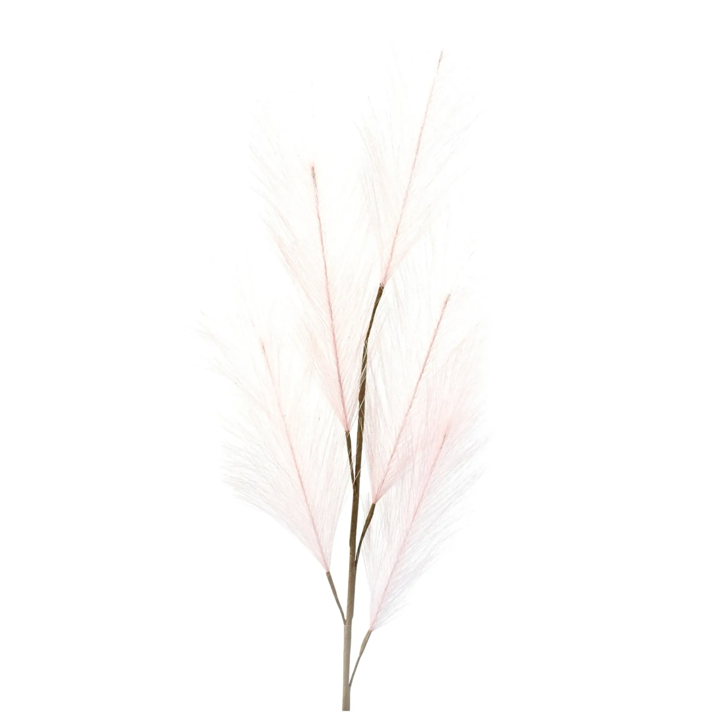 Depot Kunst-Pampasgras> Einzelblumen & Zweige