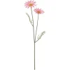 Depot Kunst-Stielblume Cosmea> Einzelblumen & Zweige