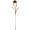 Depot Kunst-Stielblume Distel> Einzelblumen & Zweige
