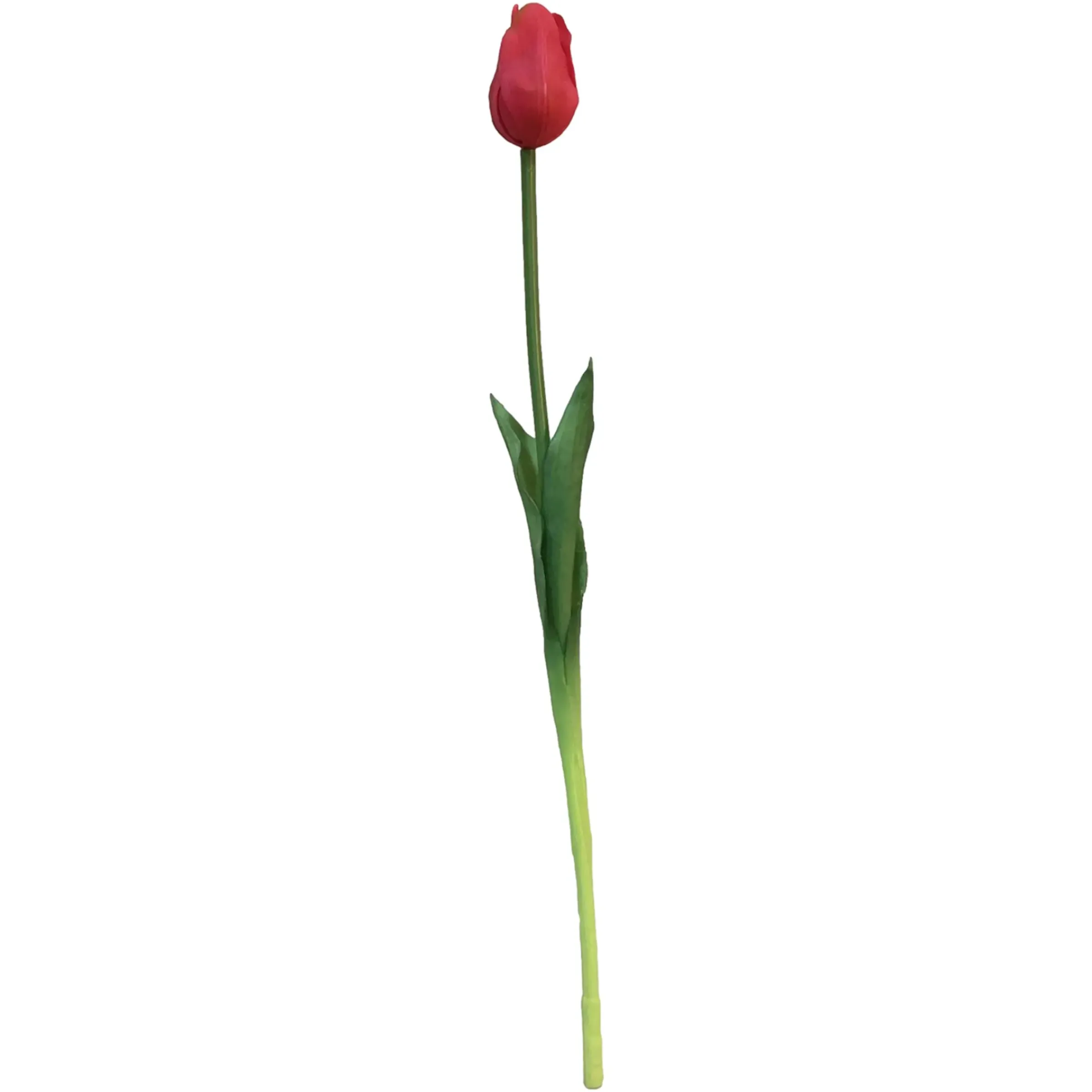 Depot Kunst-Stielblume Tulpe> Einzelblumen & Zweige