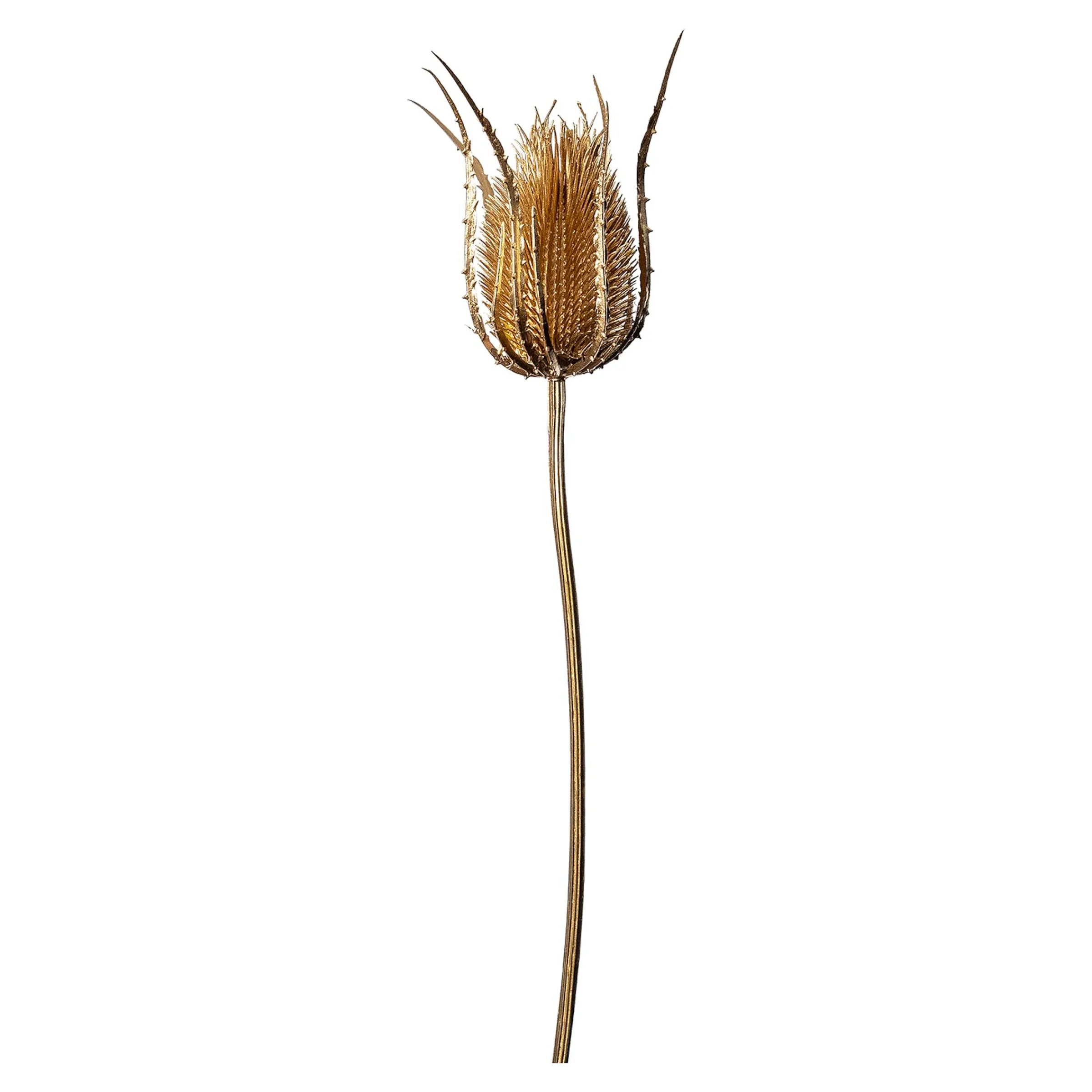 Depot Adventskranz-Deko^Kunst-Zweig Distel