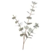 Depot Blumen^Kunstzweig Eukalyptus