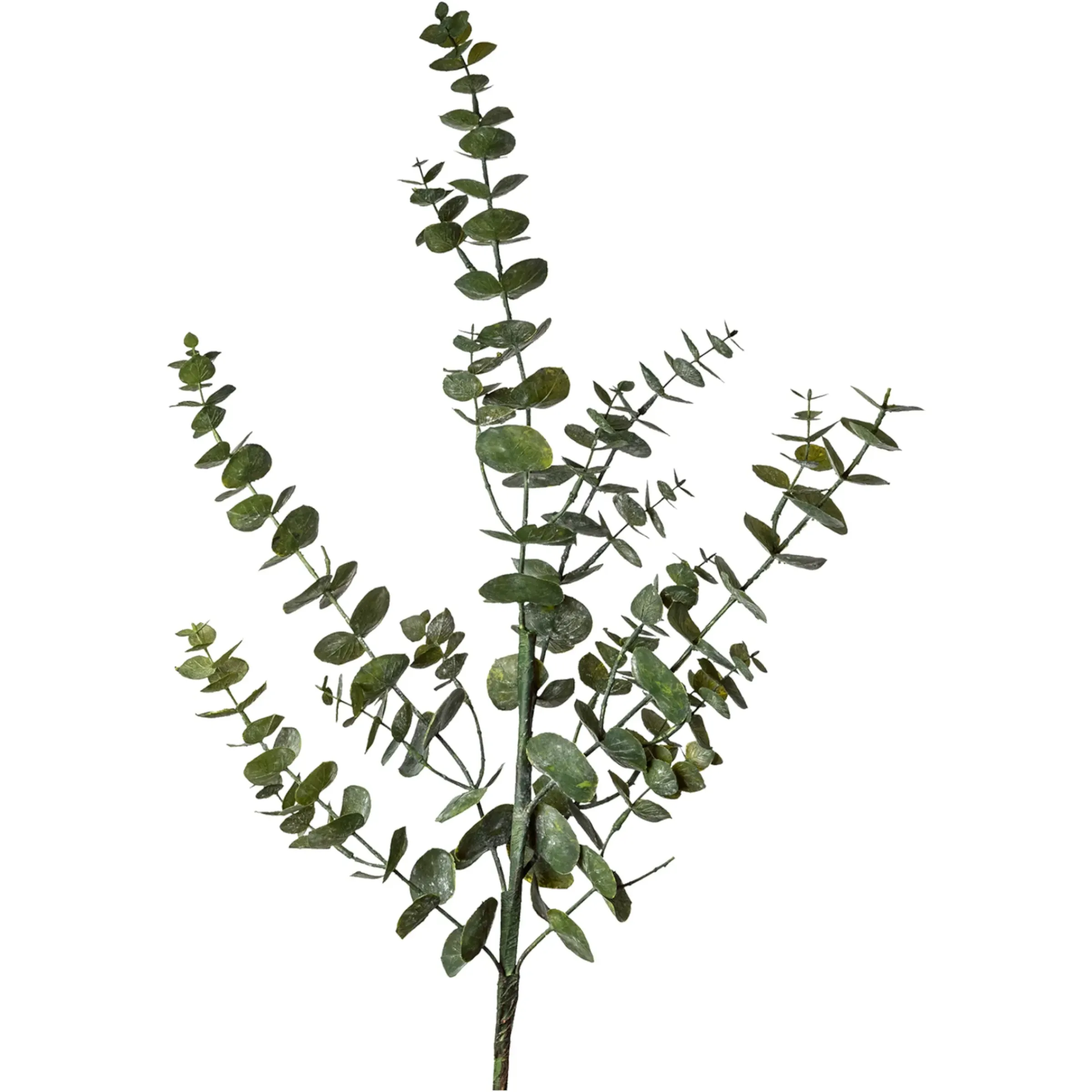 Depot Kunstzweig Eukalyptus> Einzelblumen & Zweige