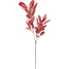 Depot Kunstzweig Eukalyptus> Einzelblumen & Zweige