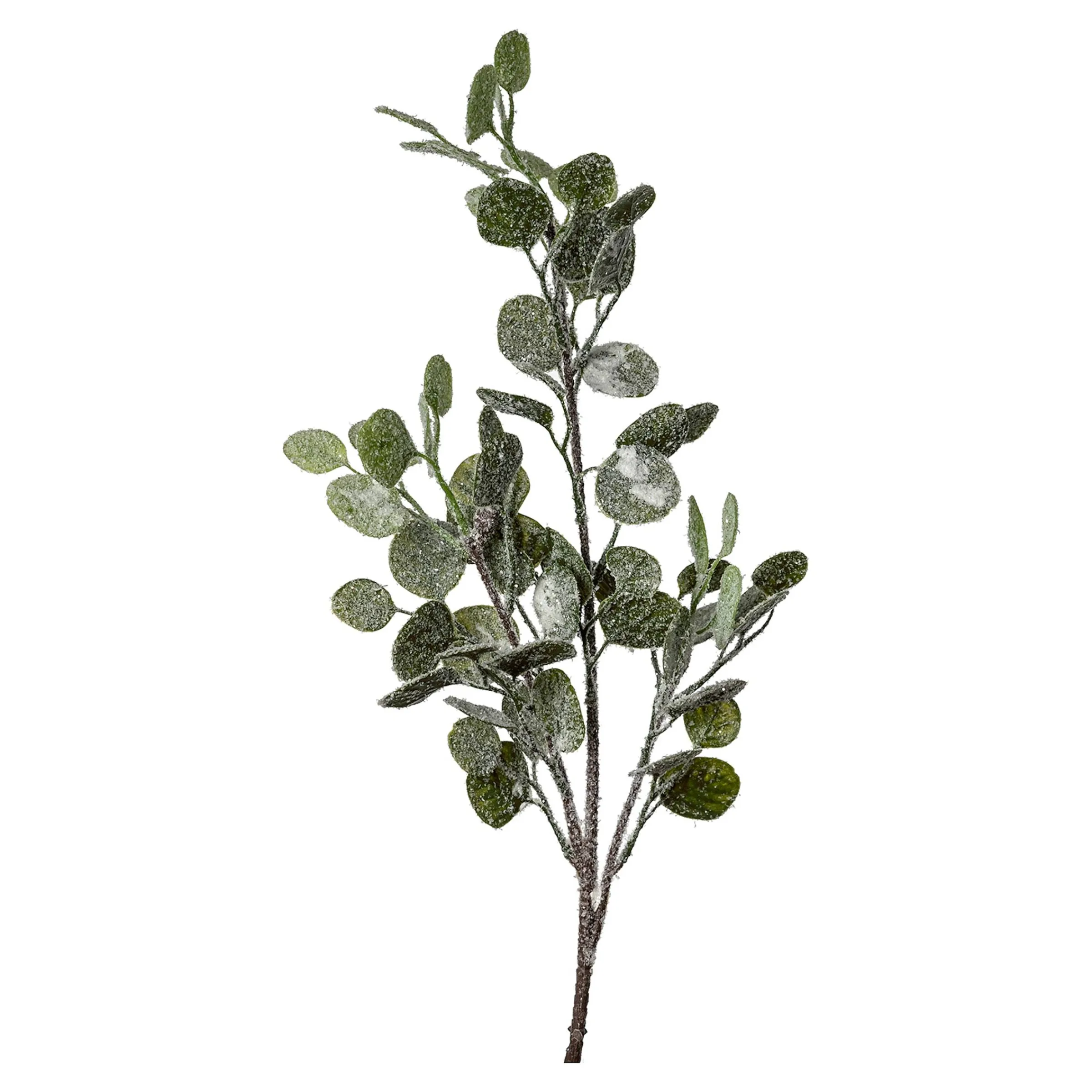 Depot Adventskranz-Deko^Kunstzweig Eukalyptus, Beschneit