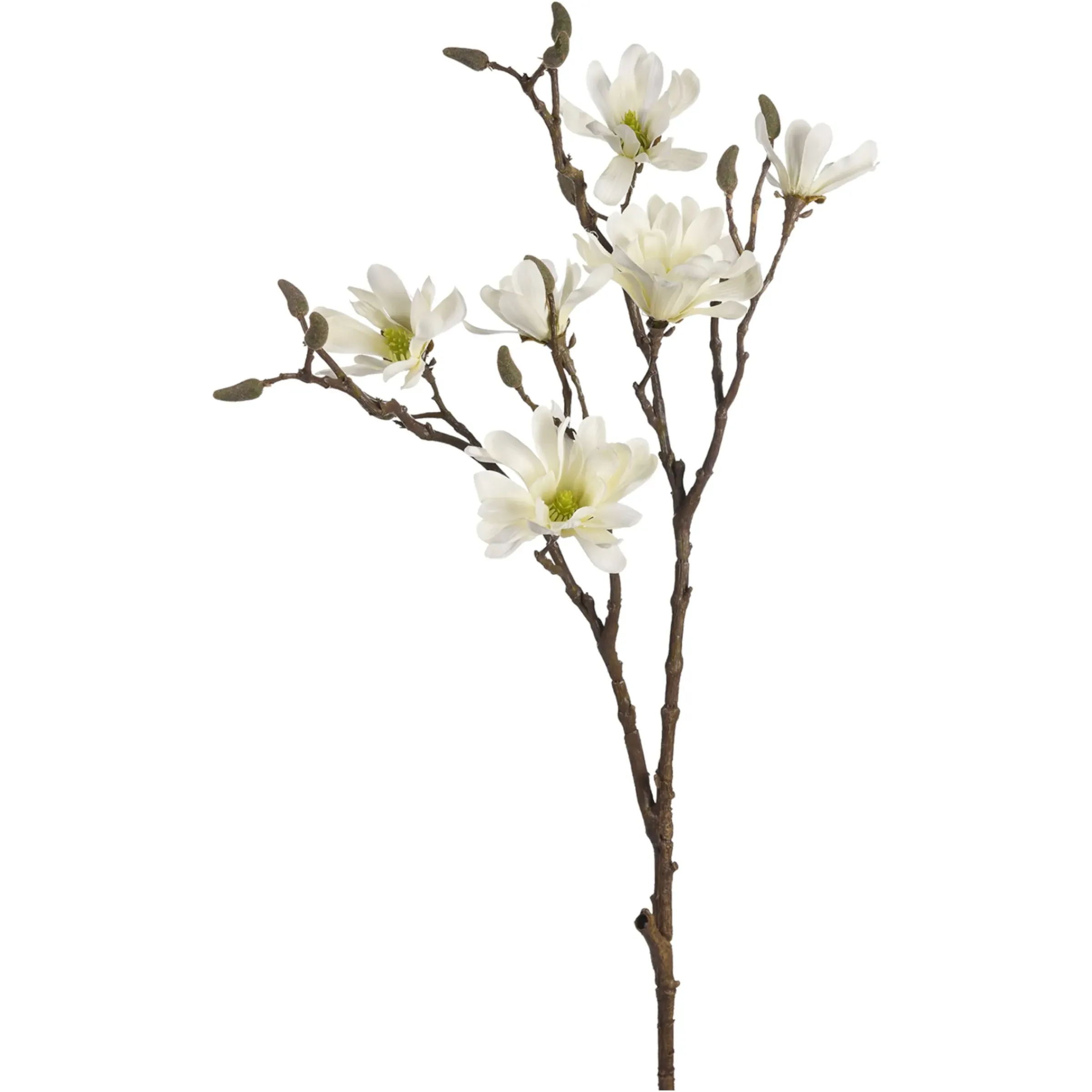 Depot Kunstzweig Magnolia> Einzelblumen & Zweige