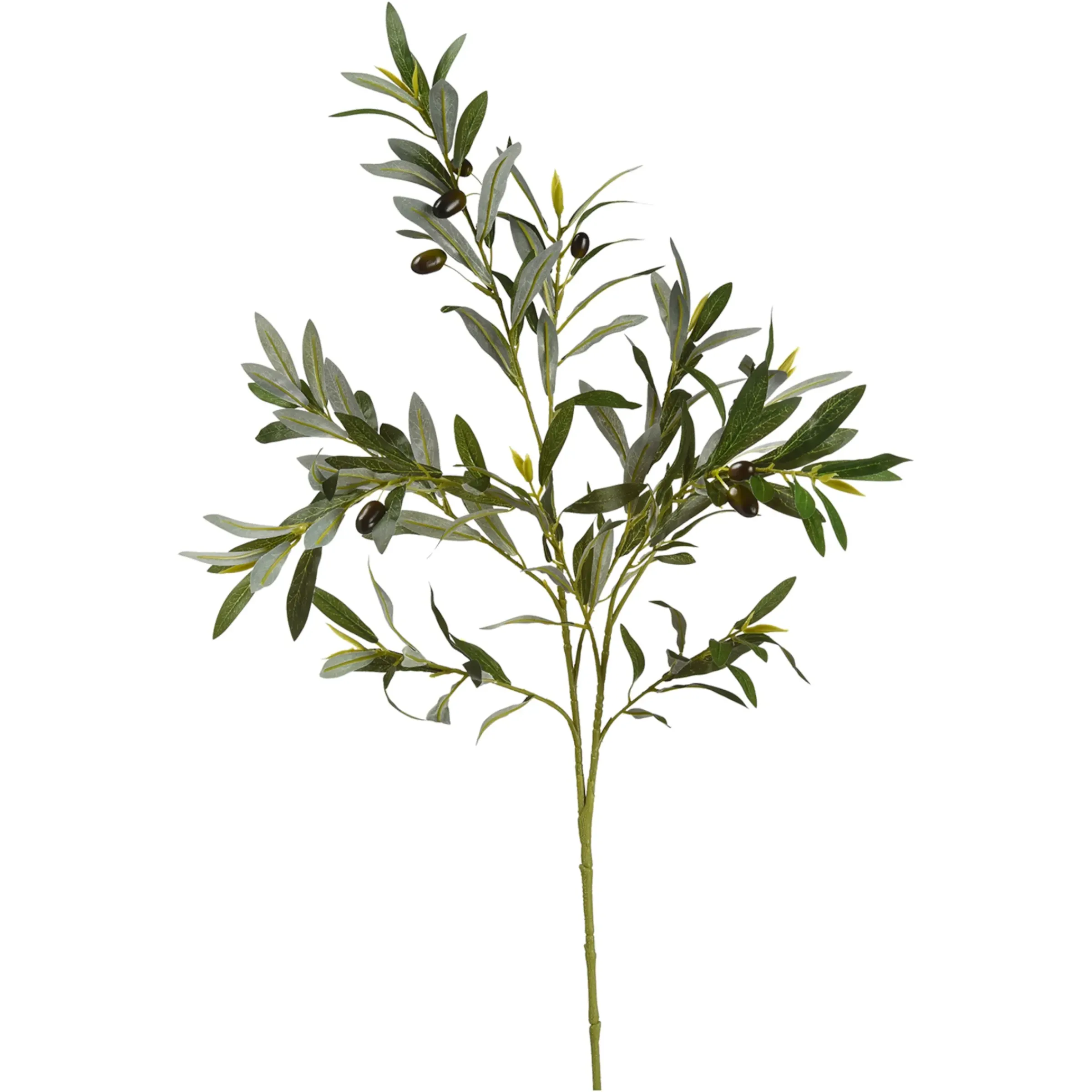 Depot Kunst-Zweig Oliven> Einzelblumen & Zweige