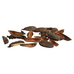 Depot Geschenkideen^Natur-Streuartikel Seedpod