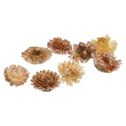 Depot Geschenkideen^Natur-Streuartikel Strohblumen