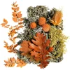 Depot Potpourri Rustic> Basteln & Diy