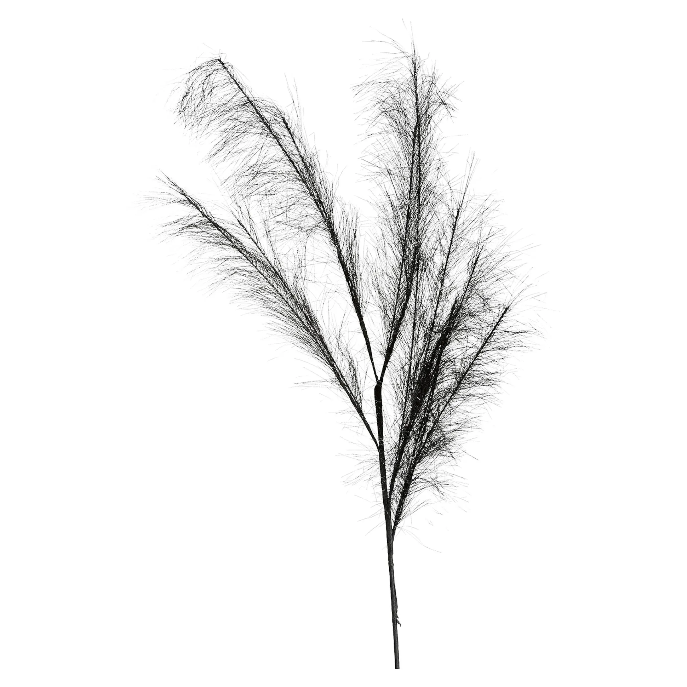 Depot Blumen^Stielblume Pampas Glam Ca. 110