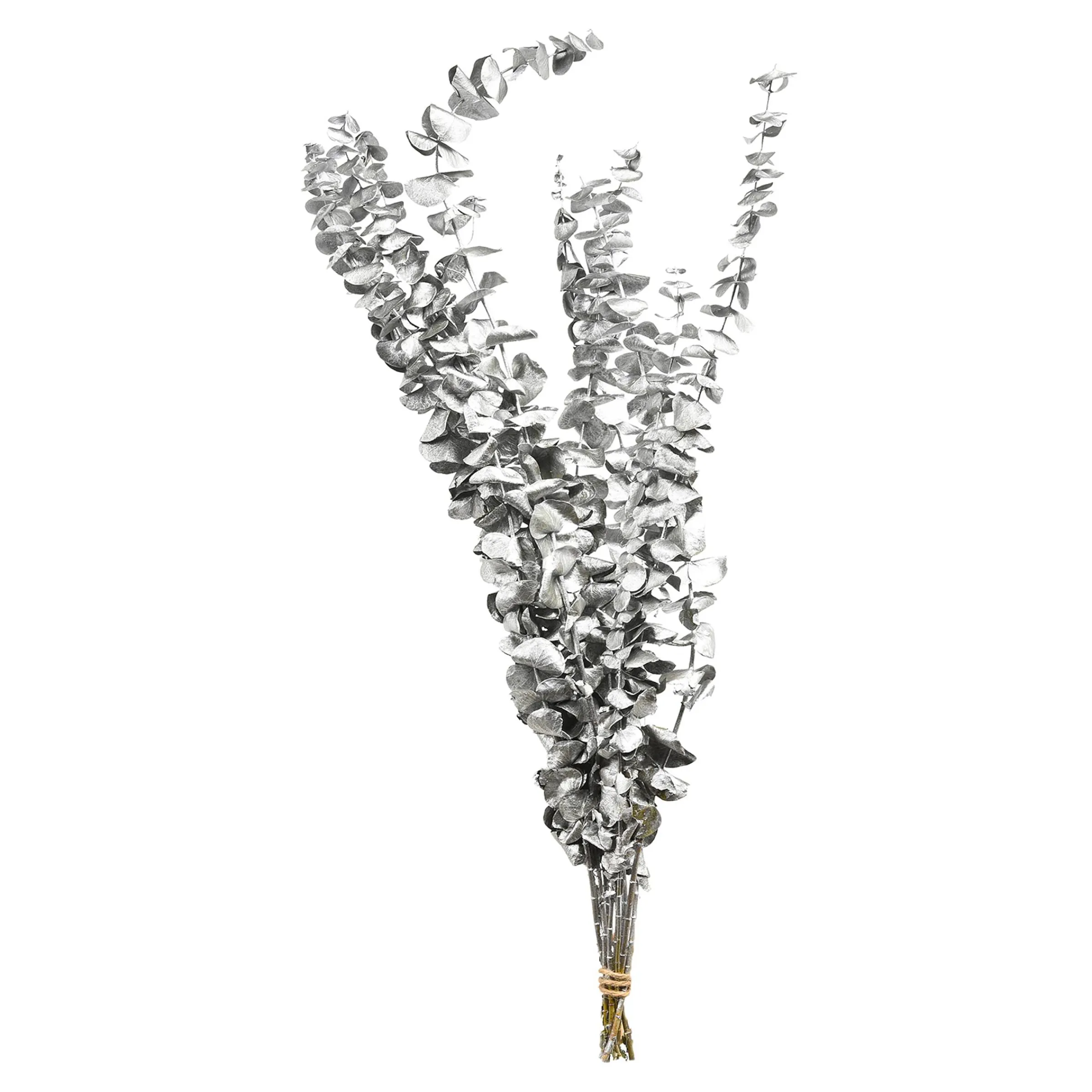 Depot Adventskranz-Deko^Trockenblume Eukalyptus Ca.55C