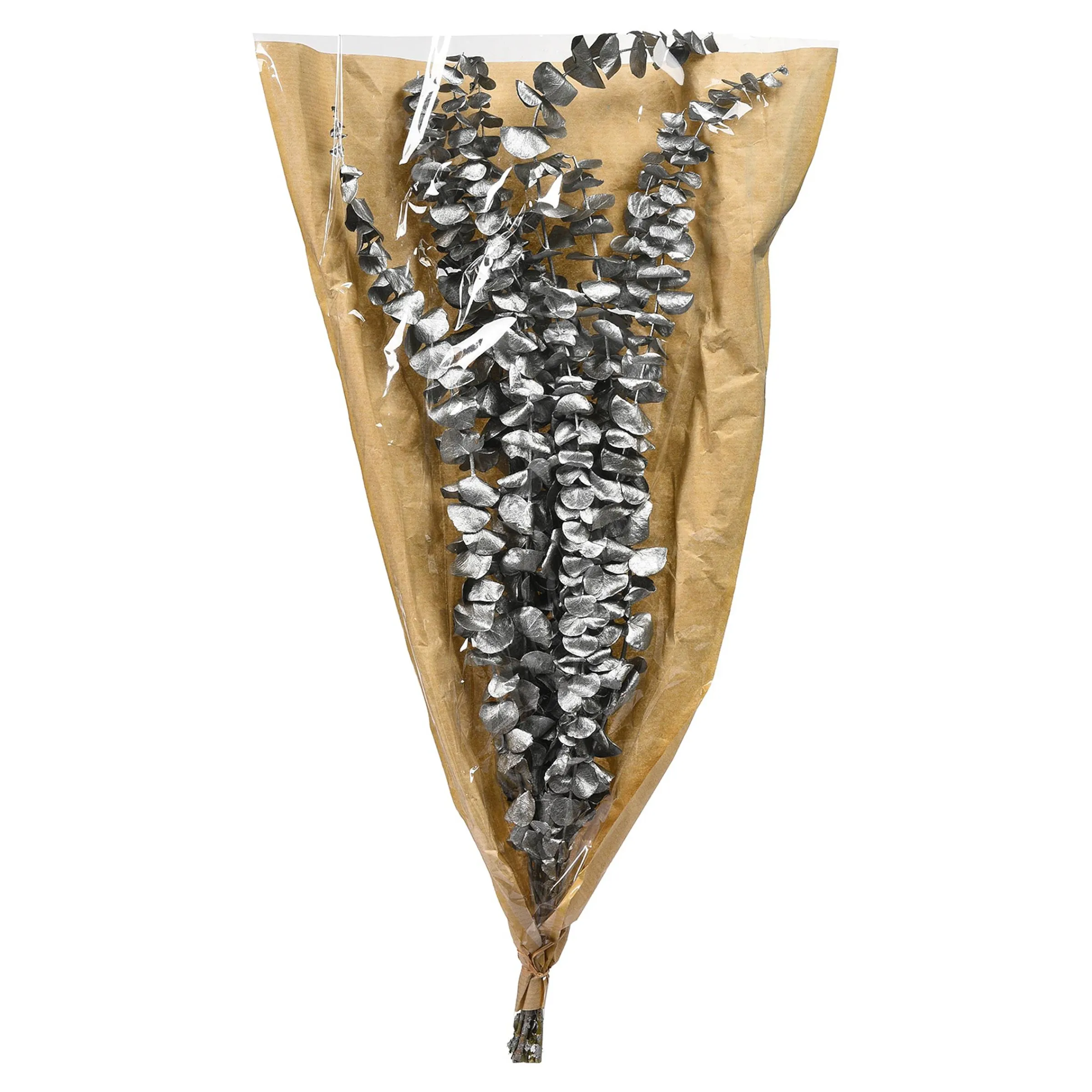 Depot Adventskranz-Deko^Trockenblume Eukalyptus Ca.55C