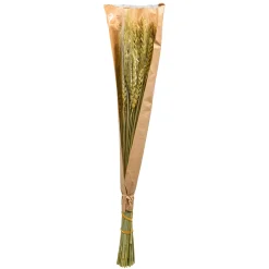 Depot Trockenblume Gerste><noscript><img width=