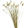 Depot Trockenblume Kanarienvogel> Einzelblumen & Zweige