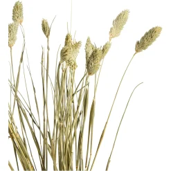 Depot Trockenblume Kanarienvogel> Einzelblumen & Zweige