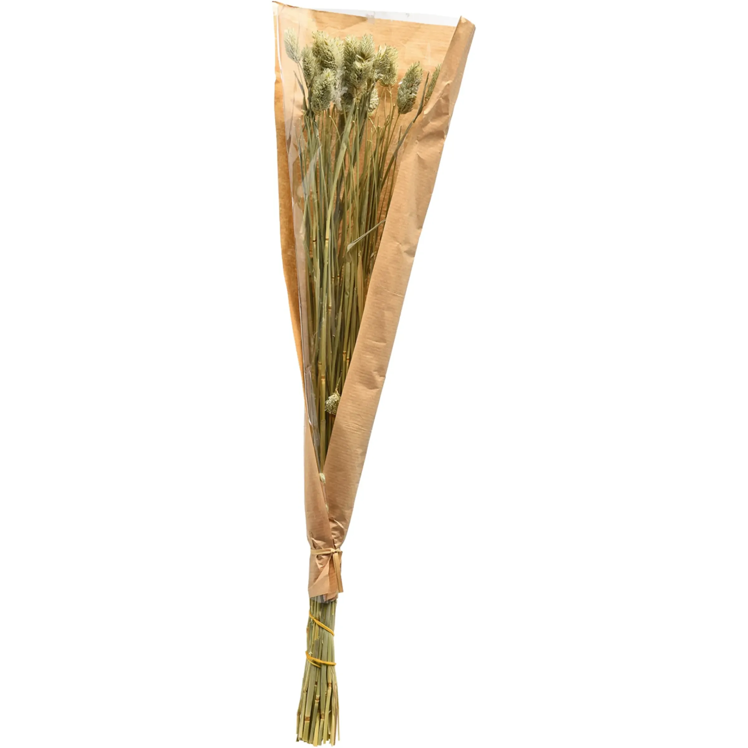 Depot Trockenblume Kanarienvogel> Einzelblumen & Zweige