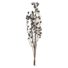 Depot Blumen^Trockenblumenbund Beeren