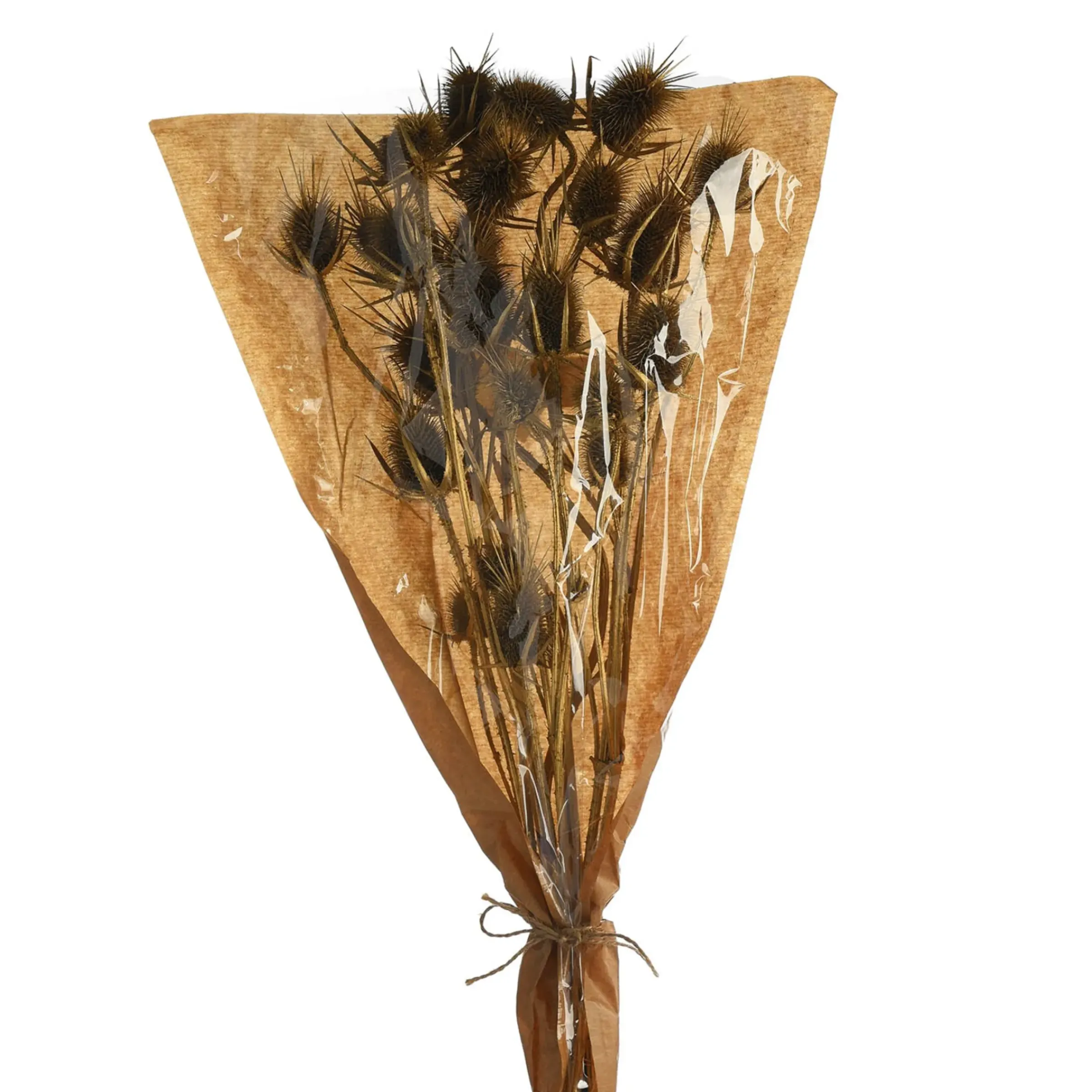 Depot Trockenblumenbund Distel> Einzelblumen & Zweige