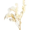 Depot Blumen^Trockenblumenbund Eukalyptus