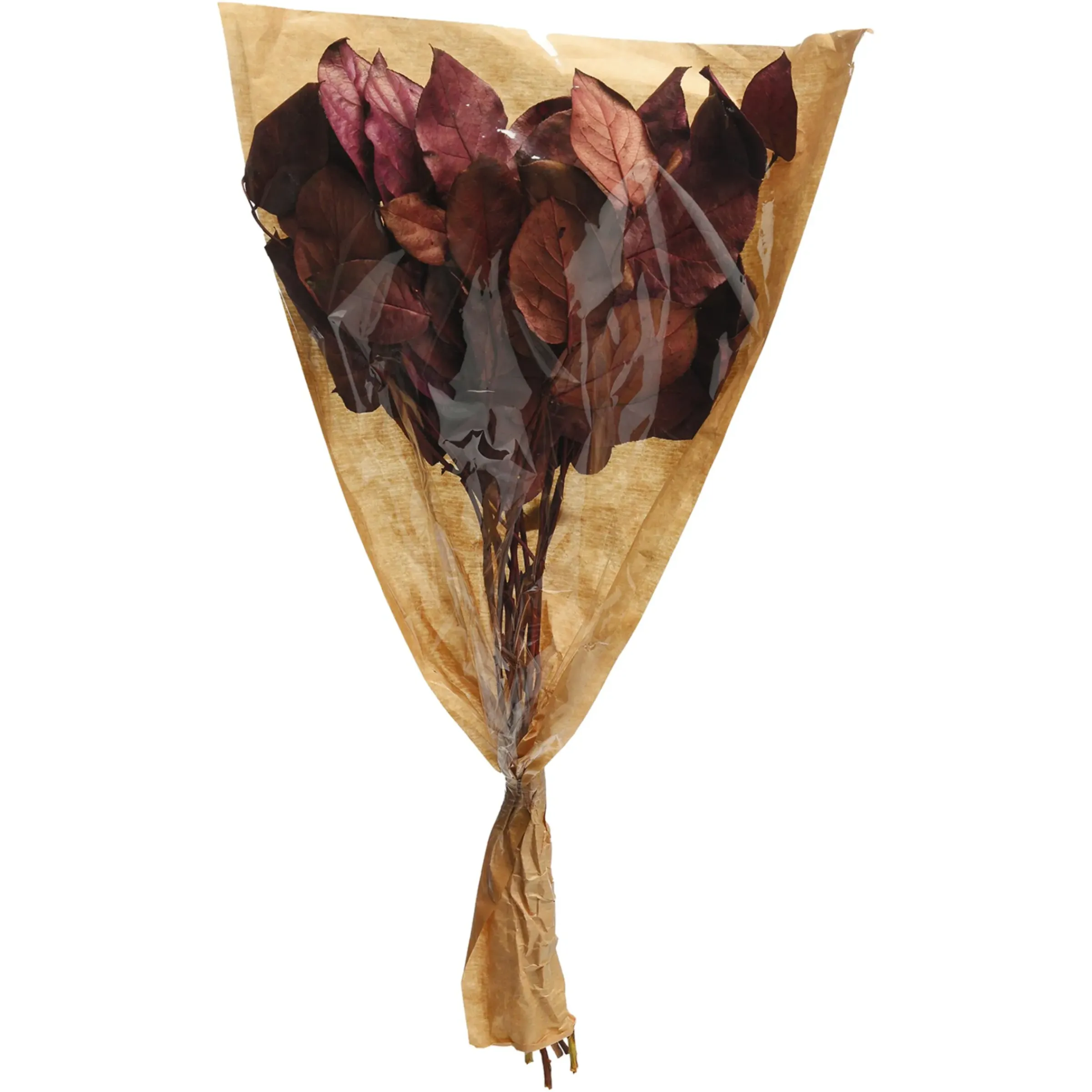 Depot Trockenblumenbund Leaves> Einzelblumen & Zweige