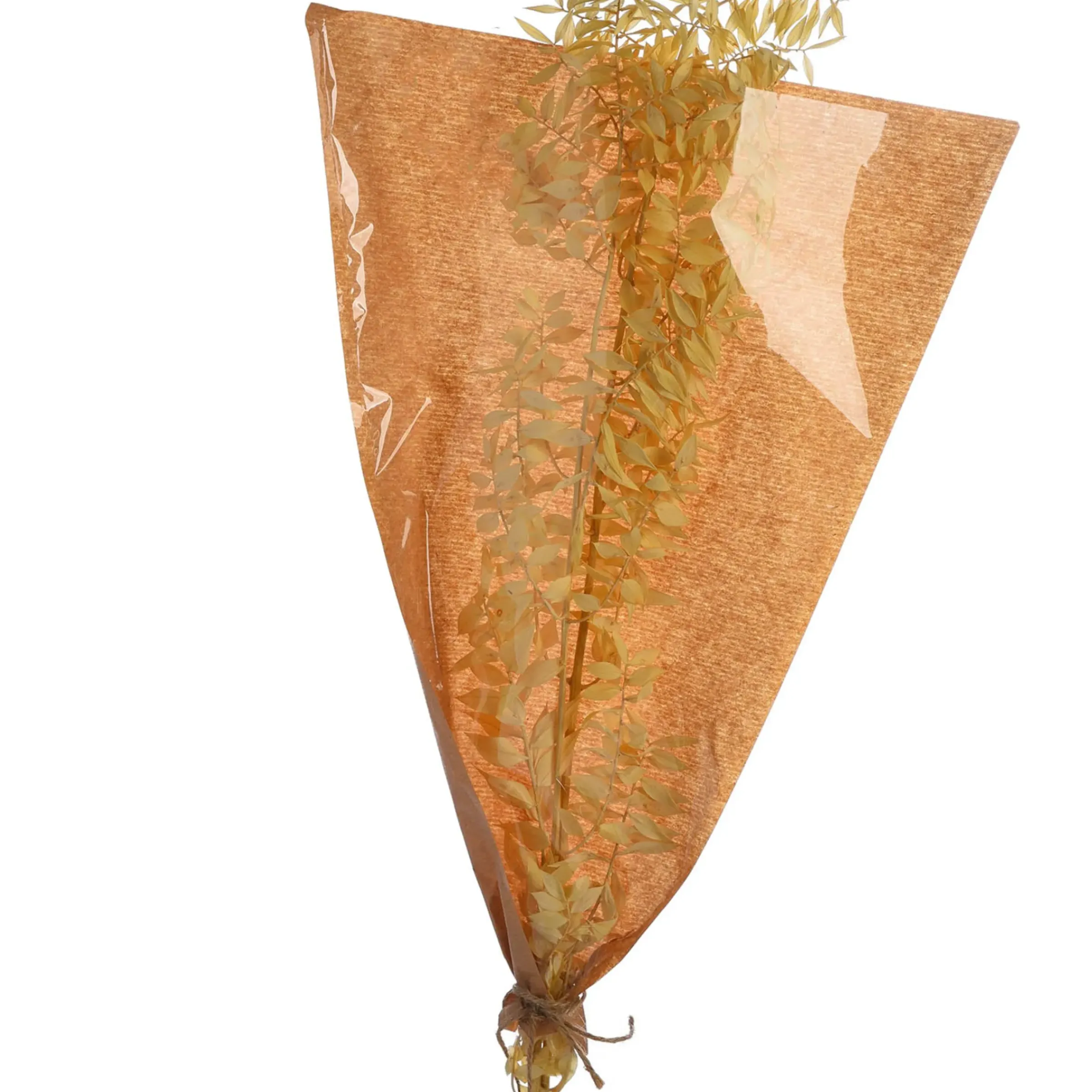 Depot Trockenblumenbund Ruscus> Einzelblumen & Zweige