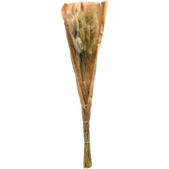 Depot Trockenblumenbund Samtgras><noscript><img width=