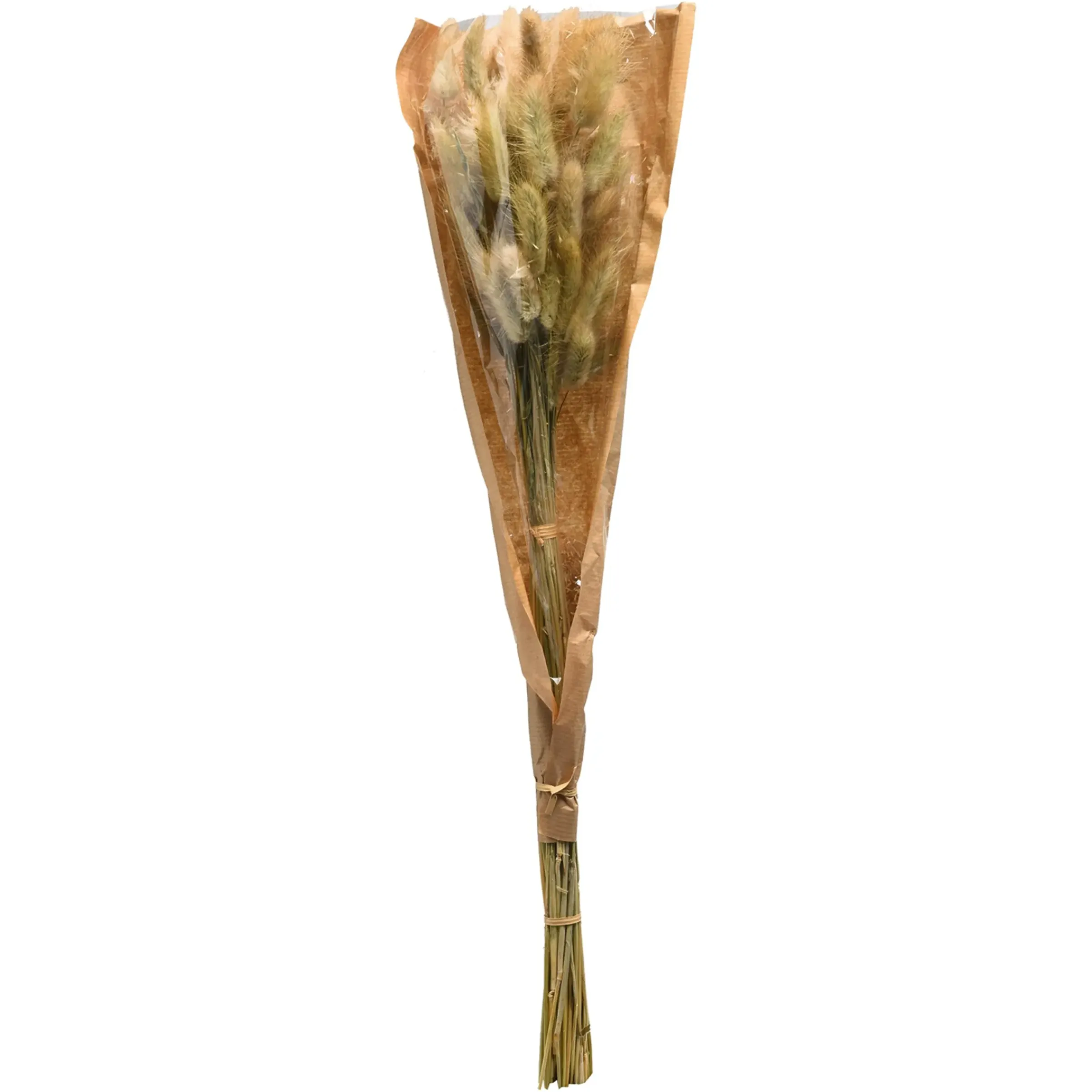 Depot Trockenblumenbund Samtgras> Einzelblumen & Zweige