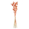 Depot Blumen^Trockenblumenbund Samtgras