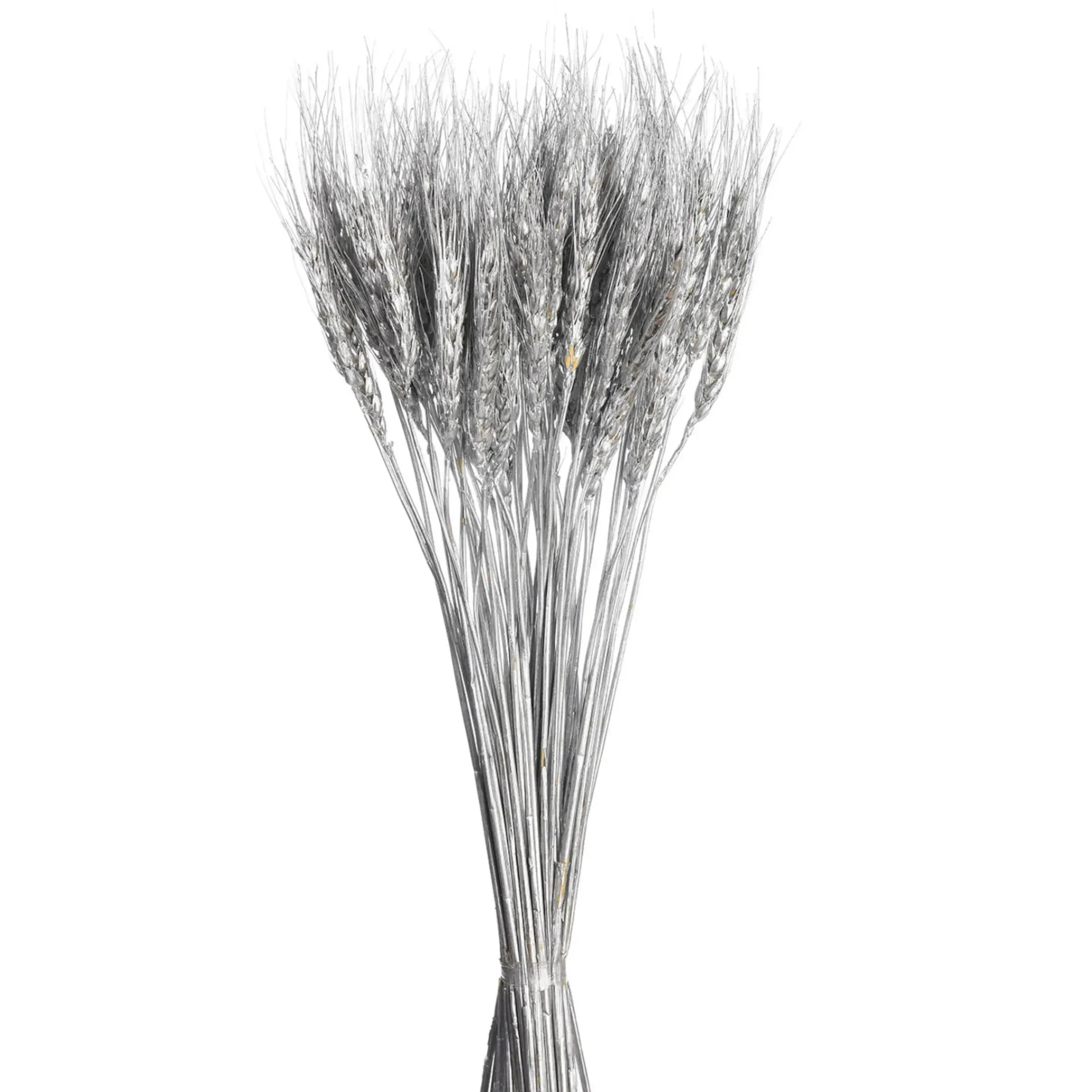 Depot Trockenblumen-Bundel Ahren> Einzelblumen & Zweige