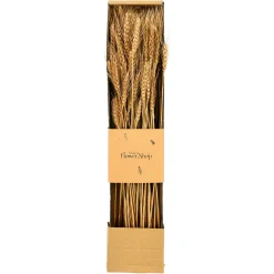Depot Trockenblumen-Bundel Ahren><noscript><img width=