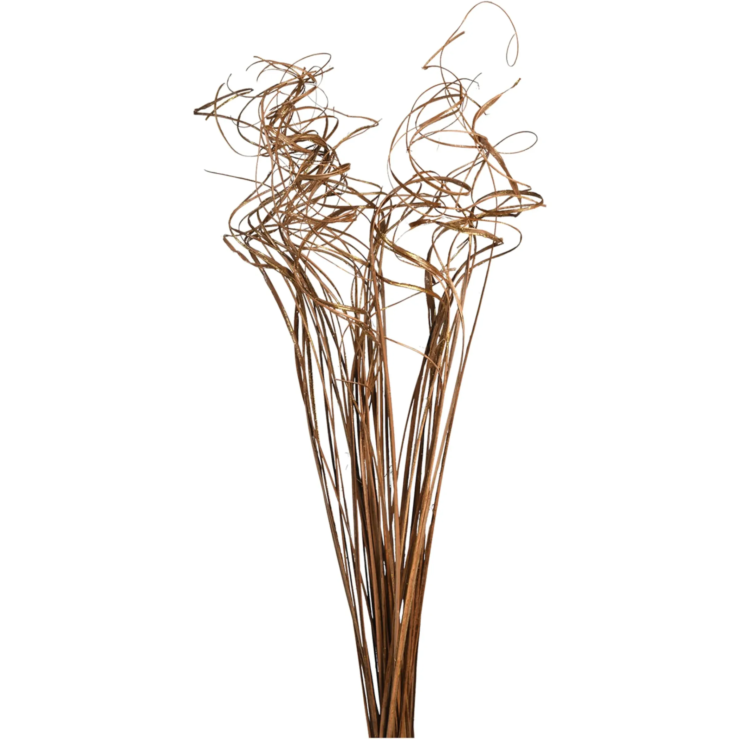 Depot Trockenblumen-Bundel Curly> Einzelblumen & Zweige