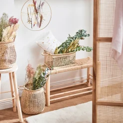 Depot Trockenblumen-Bundel Setaria><noscript><img width=