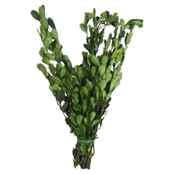 Depot Geschenkideen^Trockenbundel Buchs
