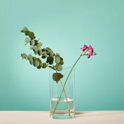 Depot Geschenkideen^Vase Bellevie
